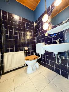 a bathroom with a toilet and a sink at Monteur Budget Zimmer in Schöppenstedt +13 photos