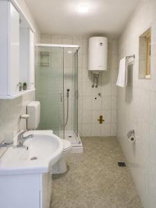 a bathroom with a sink and a toilet and a shower at Apartmani Čanj in Čanj