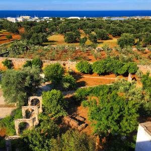 an aerial view of a park with trees and the ocean at Masseria Spina Resort in Monopoli