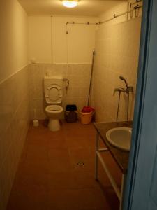 a bathroom with a toilet and a sink at DrótSzarvas Üdülőház in Bogács