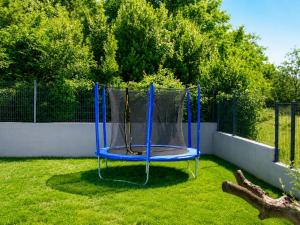 a blue trampoline in the grass in a yard at Villa Riviera in Nedeščina