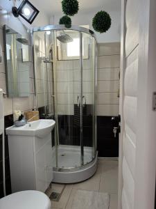 a bathroom with a shower and a toilet and a sink at Ultracentral style apartment! in Craiova +3 photos