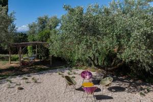 three chairs and a table in front of a tree at Zuccherini in Buriano