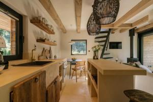 a kitchen with wooden cabinets and a large island at Casa Calma in Čenkovice