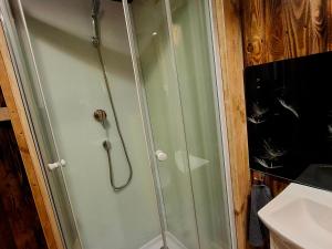 a shower with a glass door in a bathroom at Agroturystyka Lasy Północy Leśna Chata in Dzierniakowo