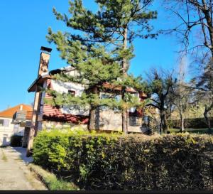 an old house with a tree in front of it at Vila Lenka in Rtanj