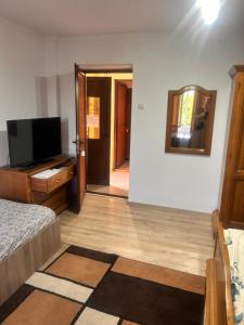 a bedroom with a bed and a flat screen tv at Pensiunea Selena Bascov-Pitesti in Bascov