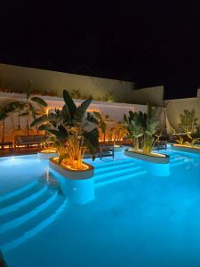 a row of plants in a swimming pool at night at Doc's Boutique Hotel Kemer in Kemer