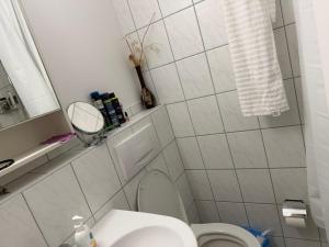 a white bathroom with a toilet and a mirror at City Center big Appartement in St. Gallen +5 photos
