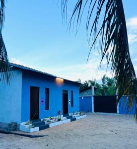 a blue house with a palm tree at HELLO MADHi VILLA in Arugam Bay
