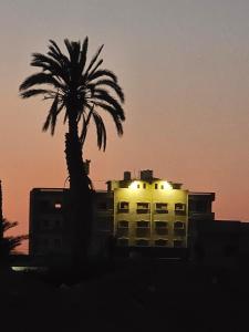 a building with a palm tree and a building with lights at Spazio Undici 11 in Marsa Matruh
