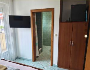 a bathroom with a shower and a television on a cabinet at Apartments OK in Lopar