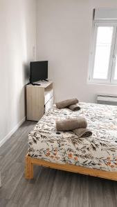 a bedroom with a bed and a flat screen tv at Le Cocooning - 4 voyageurs - Jardin,Terrasse in Saint-Nazaire