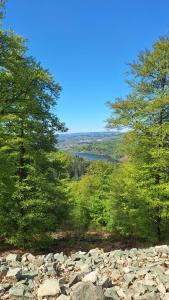a view of a river and trees on a hill at Ferienwohnung Ringwall in Nonnweiler