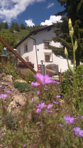 A garden outside Berghaus am Sonnenhang Valpaschun