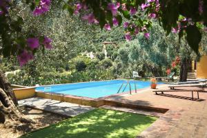 a swimming pool in a yard with a tree at Azienda Agrituristica Le Puzelle in Santa Severina +60 photos