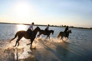 three people riding horses in the water at Reiterhof Sonja in Apetlon