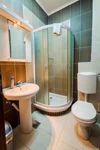 a bathroom with a shower and a toilet and a sink at Villa Gurman 024 in Bačka Topola