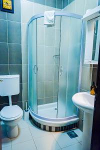 a bathroom with a shower and a toilet and a sink at Villa Gurman 024 in Bačka Topola +4 photos