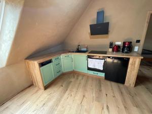 a kitchen with green cabinets and a black dishwasher at Erbeskopf Gipfelquartier in Morbach