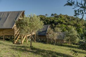 a cabin in the woods with trees around it at Glamping Pagliaini in Riparbella