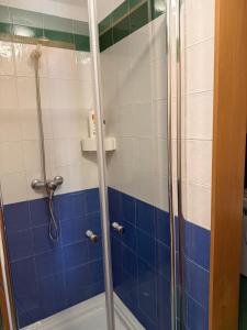 a bathroom with a shower with blue and white tiles at Lupe Mediterranean Loft,150m from the Beach Blanes Center in Blanes