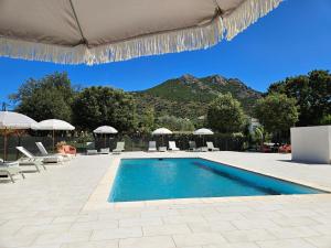 a swimming pool with chairs and umbrellas and a mountain at Hôtel & Restaurant Les Mouettes in Belgodère