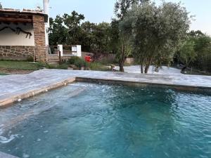 a swimming pool with blue water in a yard at Alpujarra Las Lindes in Pórtugos