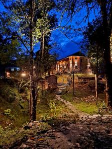a house in the middle of a forest at night at Red Panda Jungle Camp - A Unit of Davinchi Homes Pvt Ltd in Gyalzing