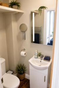 a bathroom with a sink and a mirror and a toilet at Lavina by the sea in Bangor