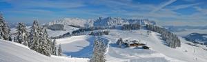 a ski lodge on a snowy mountain with trees at Wieshof Wilder Kaiser by ALPS RESORTS in Söll +14 photos