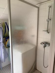 a shower in a bathroom with a glass door at Kunnarainen in Sudsaloö