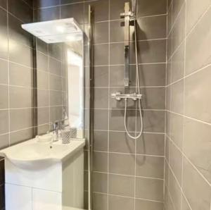 a bathroom with a shower and a sink at Studio montagne Les Carroz in Arâches-la-Frasse