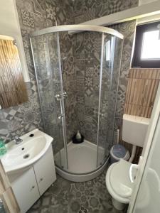 a bathroom with a shower and a toilet and a sink at Oxygen Rooms in Hunedoara