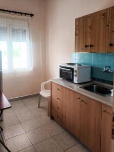 a kitchen with a sink and a microwave on a counter at Irini rooms Olympiada in Olympiada
