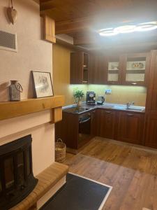 a kitchen with wooden cabinets and a fireplace at Green-in in Jaklovce +21 photos