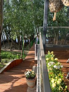 a stairway with potted plants in a garden at Cabana Pescarului in Corabia +28 photos