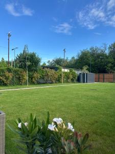 a field of grass with flowers in the foreground at Cabana Pescarului in Corabia