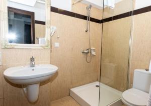 a bathroom with a sink and a glass shower at Hotel Restaurant Alesia in Corunca +23 photos