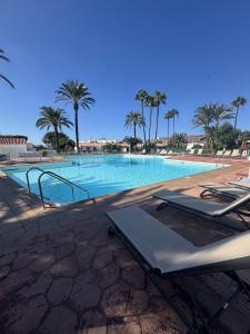 a large swimming pool with chairs and palm trees at Los Porches K28 in Playa del Ingles