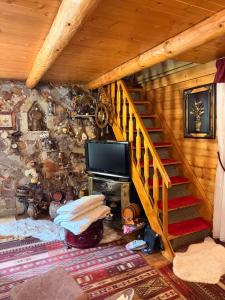 a living room with a staircase and a television at Vikendica Avlija in Rožaje