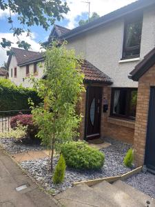 a house with a tree in the front yard at Cosy home in Edinburgh in Edinburgh