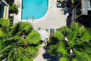 an overhead view of palm trees and a swimming pool at Pefki Deluxe Residences - Adults Only 16plus in Pefkochori