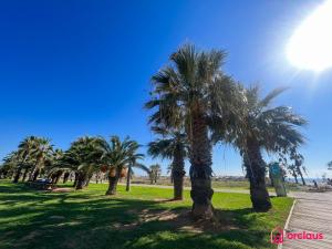 a group of palm trees in a park at The Skyline in Grao de Castellón +43 photos
