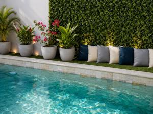 a swimming pool with pillows and plants next to a hedge at Las Naveiras in Tamarindo