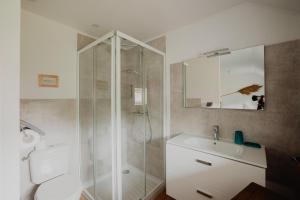 a bathroom with a shower and a toilet and a sink at Le gîte de Bresteau in Beillé