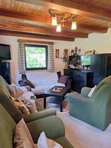 a living room with two chairs and a couch at Jirkova chata in Lipova Lazne