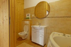 a bathroom with a sink and a toilet and a mirror at U Certa in Čerčany +23 photos