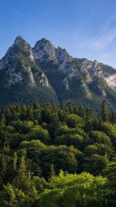 a group of mountains with trees in the foreground at UMANI Retreat in Buşteni