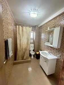 a bathroom with a sink and a toilet and a shower at Vila Mina in Ocnele Mari +29 photos